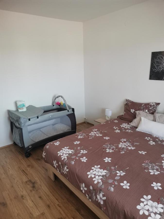Apartament Varea *